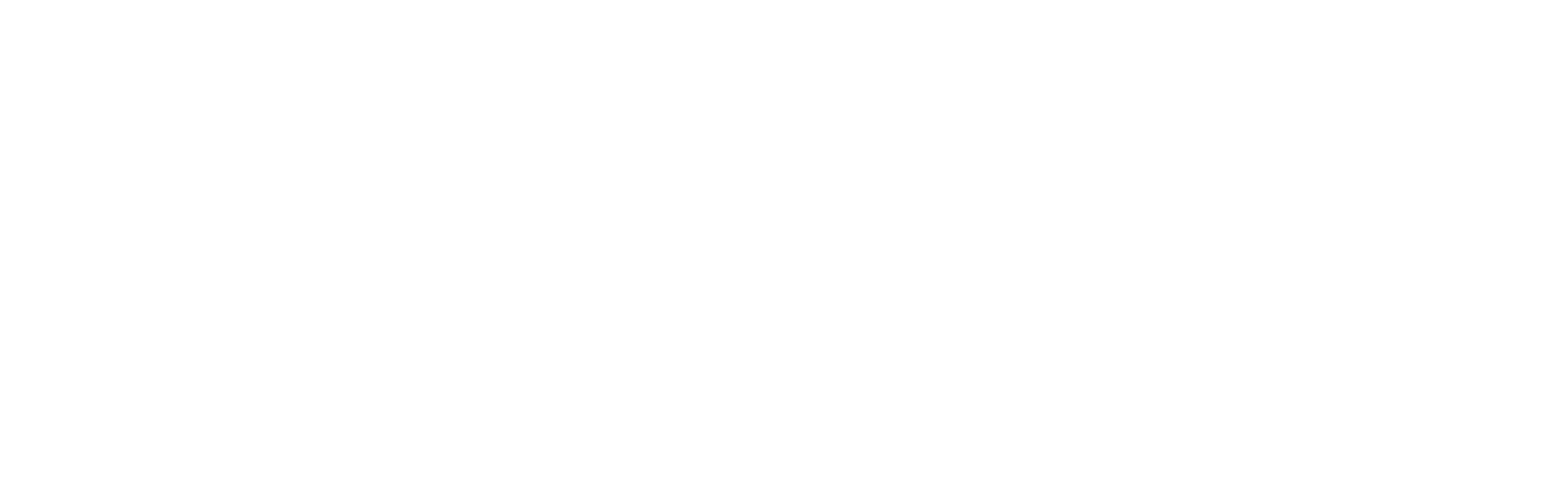 BitChat